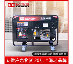 東明單三相10kw便攜式應急小型柴油發電機組DMDS12000LE/YJ